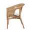 Baxton Studio Abbey Modern Bohemian Natural Brown Antique Rattan Dining Chair 219-12717-ZORO - alternate 5